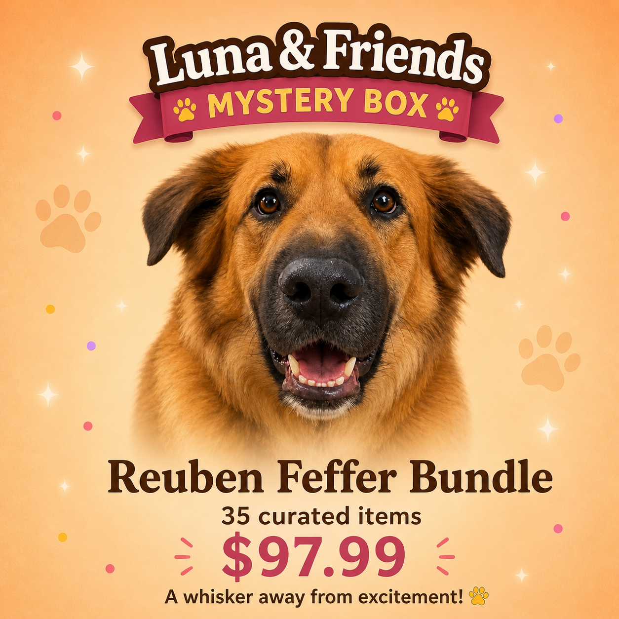 Reuben Feffer Bundle – 35 Item Curated Collection Inspired by Rescue Love