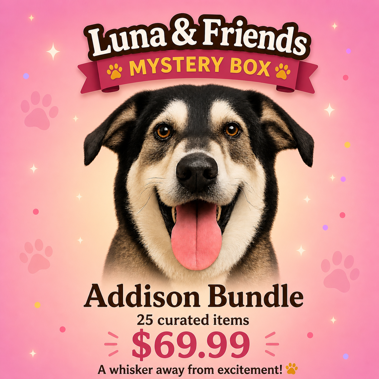 Addison Bundle – 25 Item Curated Collection Inspired by Rescue Love