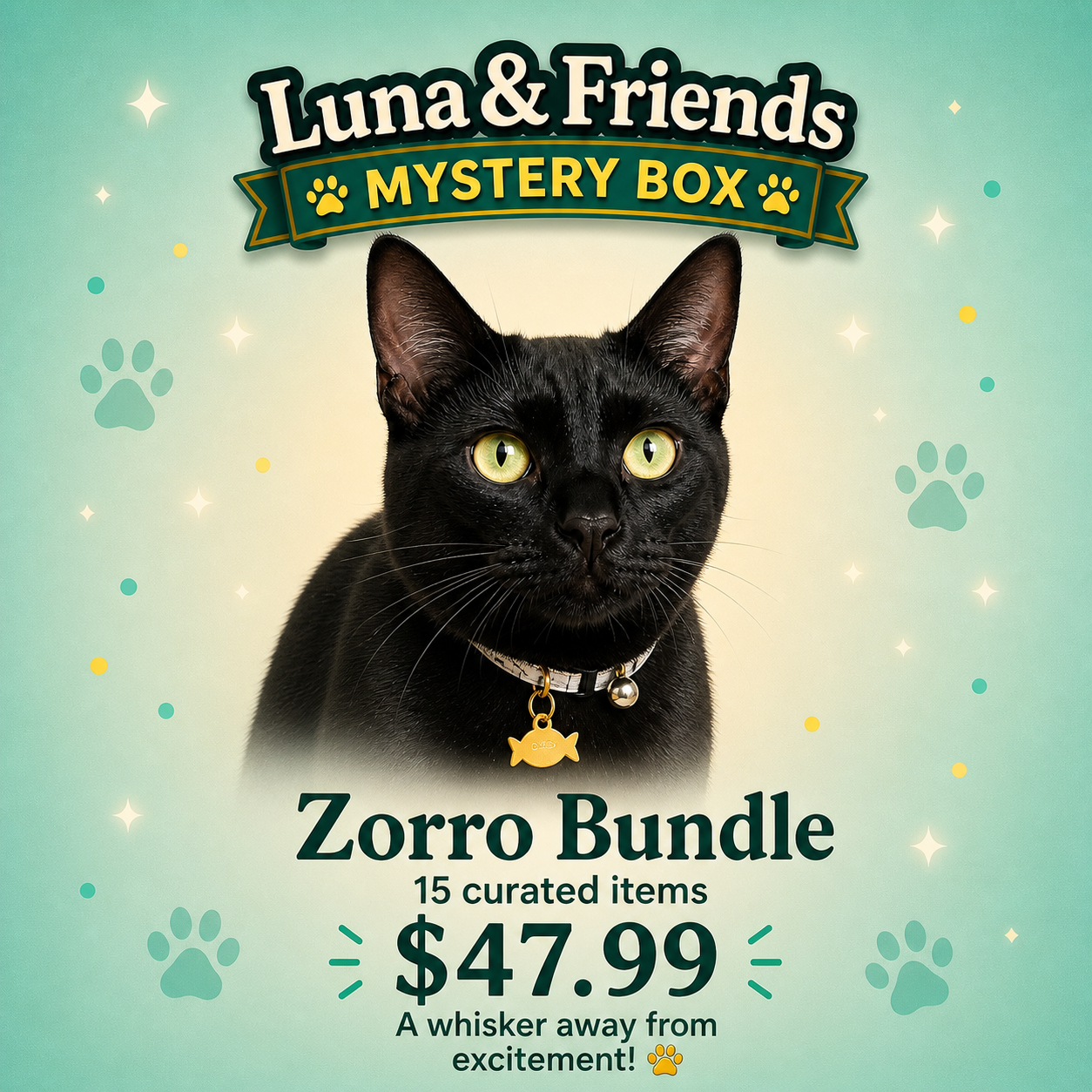 Zorro Bundle – 15 Item Curated Collection Inspired by Rescue Love